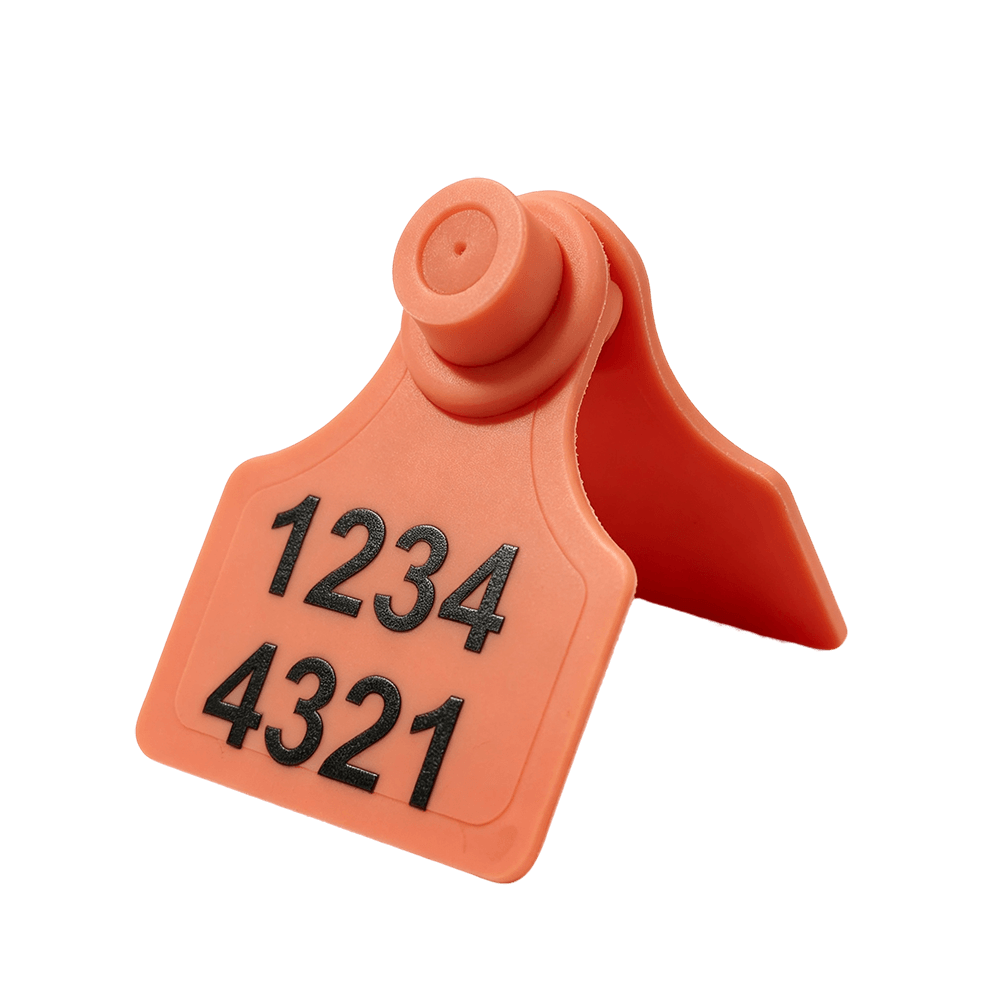 Pet ID Tags